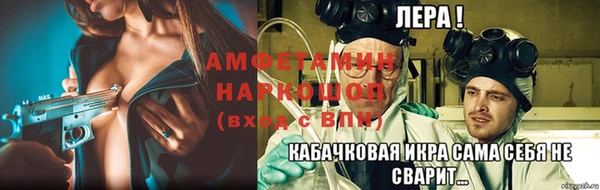 индика Пестово