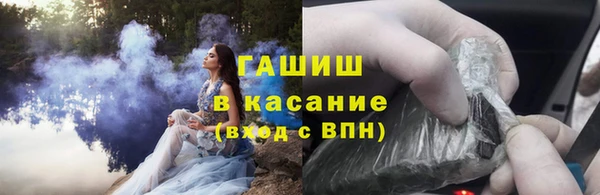 индика Пестово