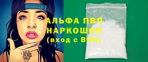индика Пестово