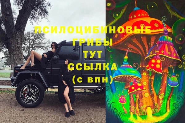 индика Пестово