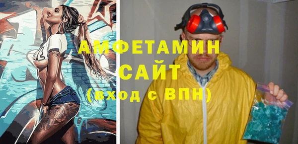 индика Пестово