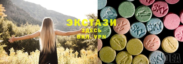индика Пестово