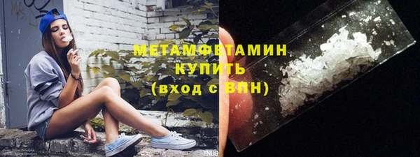 индика Пестово
