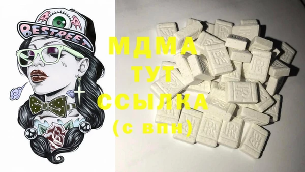 индика Пестово