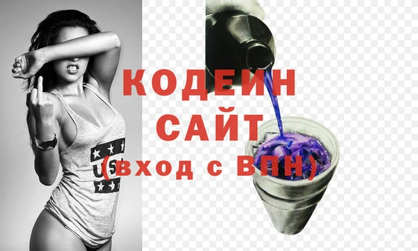 индика Пестово