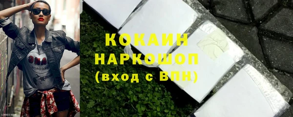 индика Пестово