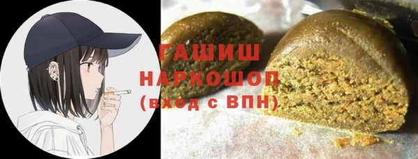индика Пестово